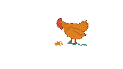 adrianagoram vegan chicken sanctuary veganism Sticker