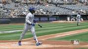Regular Season Sport GIF by MLB