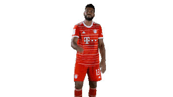 Happy Dance Sticker by FC Bayern Munich
