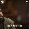 Thats Interesting GIF by Yellowstone