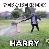 tylerbuildz harry potter diy harry redneck GIF