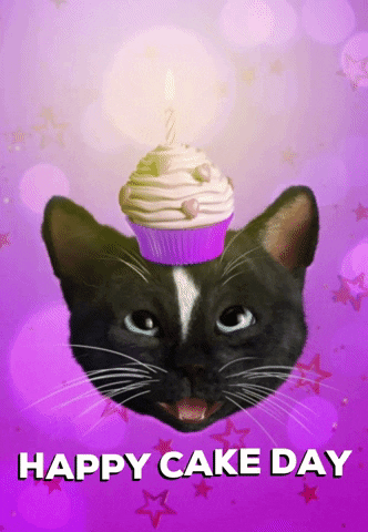 FeliniRocks giphygifmaker happy birthday cats hbd GIF