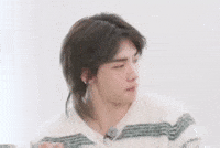 Stray Kids Skz GIF