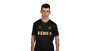 Football Sport Sticker by Bundesliga
