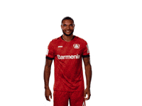 Bayer 04 Werkself GIF by Bayer 04 Leverkusen