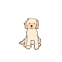 Happy Golden Doodle Sticker