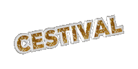 Sticker Festival Sticker by Didem Zeybek