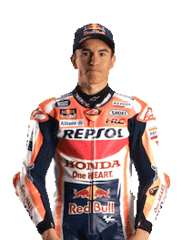 Honda Celebration Sticker by Box Repsol