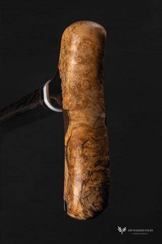 tailorroma giphyupload GIF