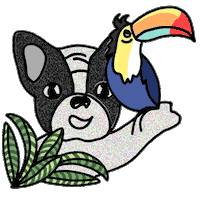 happy dog Sticker by Ivo Adventures