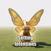 Wisdom Growth GIF by BuddhaFlyJourney