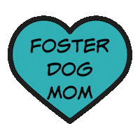 carestl fosterdog fosteringsaveslives icarestl carestl Sticker