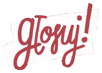 Wybory Prezydent Sticker by Dorota Duzinkiewicz