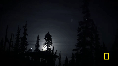 life below zero GIF by National Geographic Channel