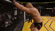 brock lesnar ufc GIF