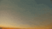 Im Hot Chi Chi GIF by BRS Kash