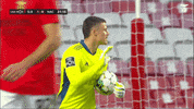 Calm Down Sl Benfica GIF by Sport Lisboa e Benfica