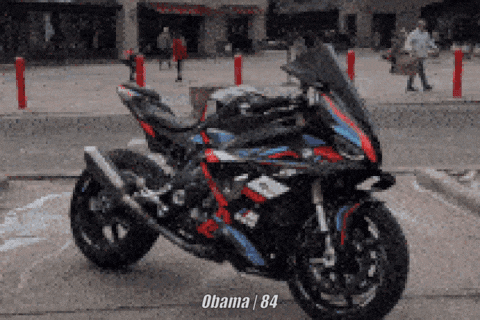 giphy.gif