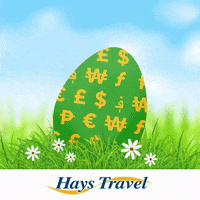 happy money GIF by Hays Travel