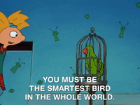 hey arnold nicksplat GIF