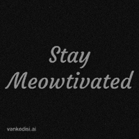 Motivate Black And White GIF by vankedisi