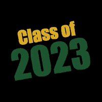 saintvincentcollege bearcats st vincent gobearcats go bearcats GIF