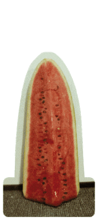 mark watermelon Sticker by Self Service Magazine
