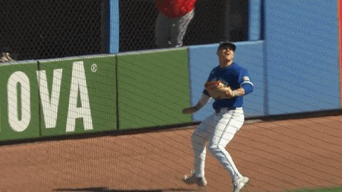 Blue Jays Mlb GIF by Toronto Blue Jays