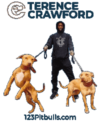Terence Crawford Pitbull Sticker by Chico Lopez