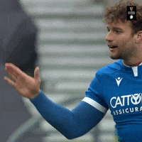 Italian Good Job GIF by Guinness Six Nations