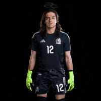 Fifa World Cup Mexico GIF by Respective