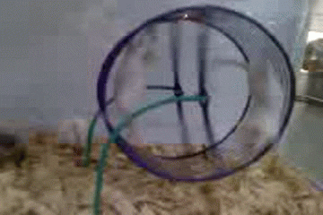 work days GIF