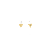 chandonar champagne celebracion brindis copas Sticker