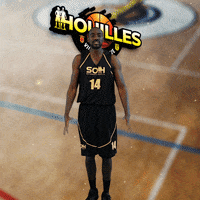 Houilles GIF by SOH Basketball