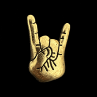 H-Town Gold GIF by Pinned Pins