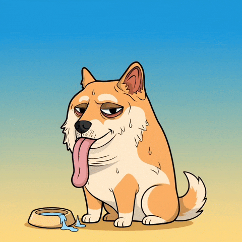 Sweating Shiba Inu GIF by Doge Pound
