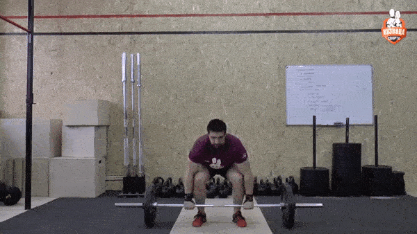 bodybuilding-and-fitness giphyupload traster GIF