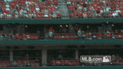 stl GIF by MLB