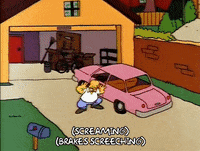 homer simpson episode 22 GIF
