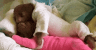 Couple Reaction GIF