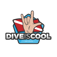diveiscool cool water dive dive is cool Sticker