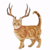 Merry Christmas Cookies GIF