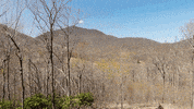 Digging John Deere GIF by JC Property Professionals