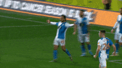 Celebration GIF by Blackburn Rovers