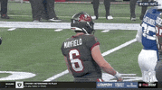 National Football League GIF by NFL