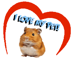 Guinea Pig Love Sticker