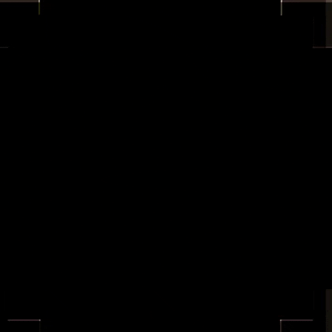 GIF by Graure
