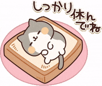 In Love Cat GIF