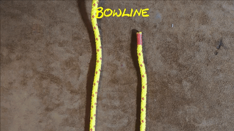 knot bowline GIF