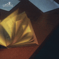 Investigating Sherlock Holmes GIF by G5 games
